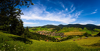 Das Bild zeigt eine grüne Landschaft des Naturparks Schwarzwald Mitte/Nord.