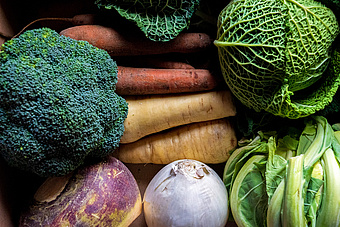 Das Bild zeigt viel Gemüse wie Möhren, Kohl, Pastinaken und Brokkoli.
